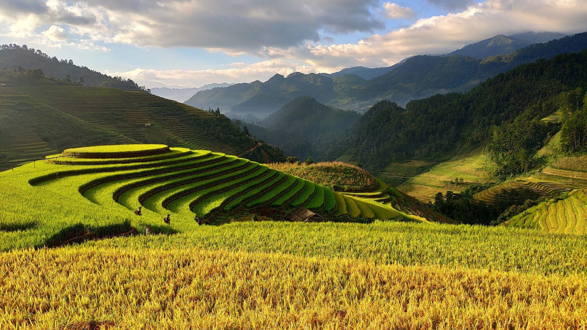 #1 de Agencia de Viajes a Vietnam y Sudeste Asiático