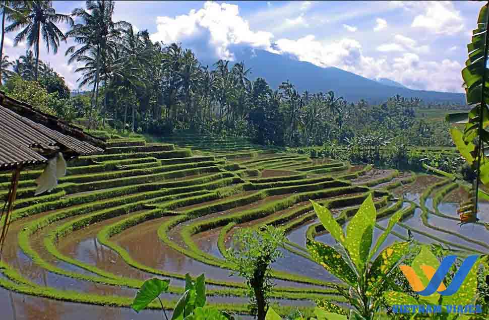 Viaje espiritual a Bali completa con las mejores playas – 11 días