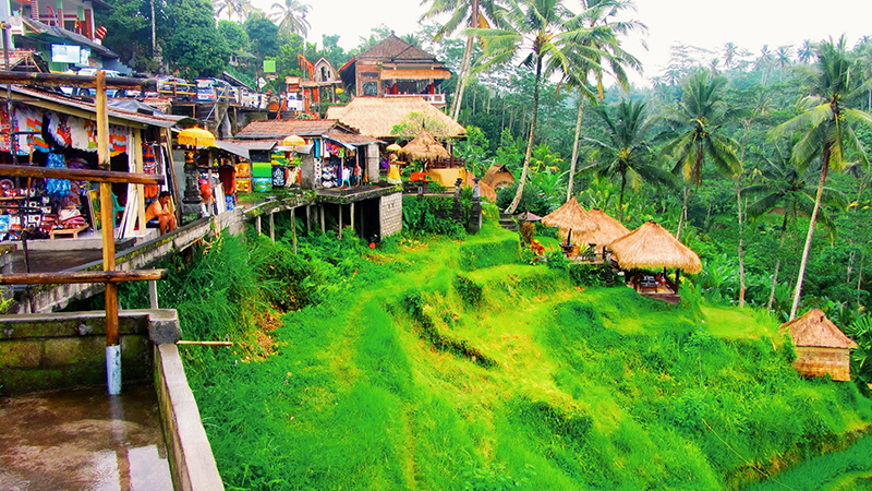 Tour esencial de Bali – 8 días