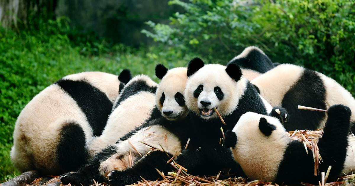 VIAGEM REGULAR PELA CHINA -  14 DIAS 13 NOITES