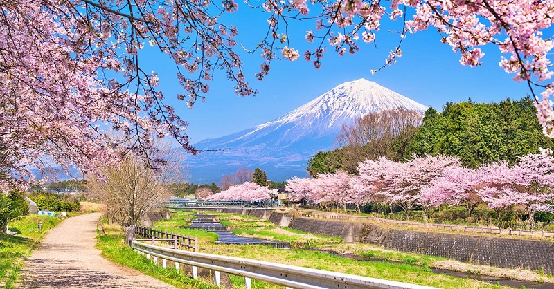 Guia de viagem ao Japão