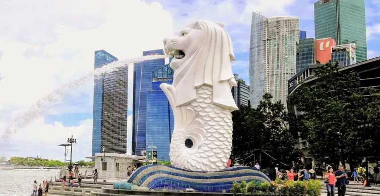 Que debes preparar antes de viajar a Singapur y Malaisia?