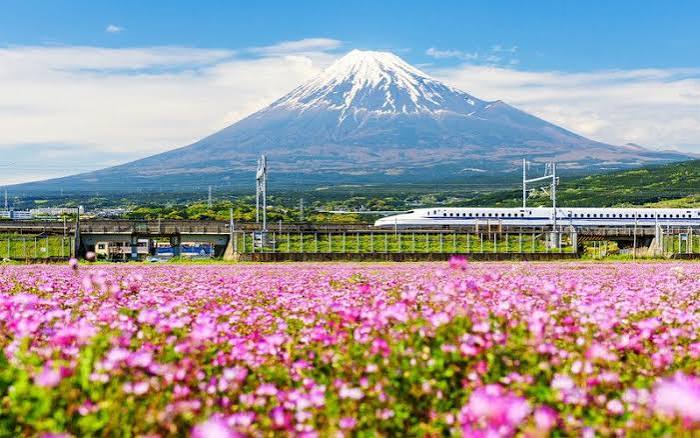 ¿Por qué viajar a Japón?