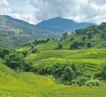 Viaje Regular a Vietnam en 10 diás - 9 noches