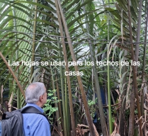 VIAJE POR VIETNAM,  CAMBOYA Y TAILANDIA -  19 DIAS 18 NOCHES