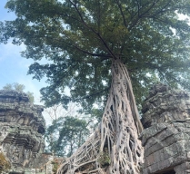 VIAJE COMBINADO POR VIETNAM, CAMBOYA Y TAILANDIA – 18 DIAS 17 NOCHES