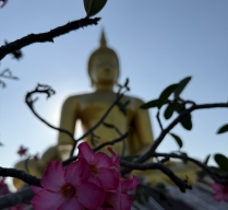 VIAJE COMBINADO POR VIETNAM, CAMBOYA Y TAILANDIA – 18 DIAS 17 NOCHES