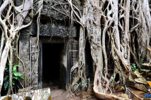 Viaje combinado Camboya Vietnam Tailandia
